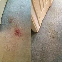 Carpet Cleaning Waterloo image 1